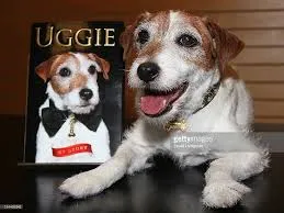 Uggie: My Story